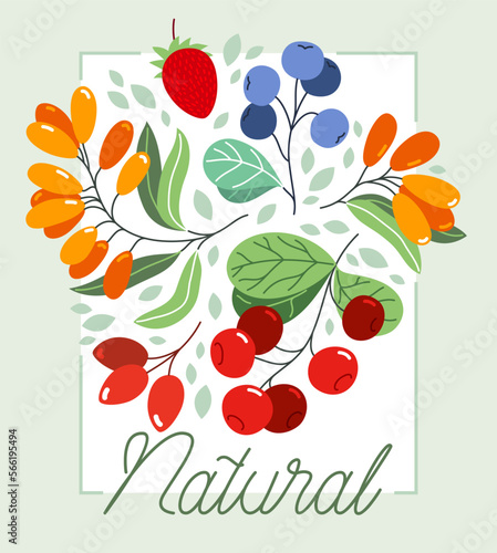Wild berries fresh and ripe tasty healthy food vector flat style illustration isolated over white, delicious vegetation diet eating, organic food.