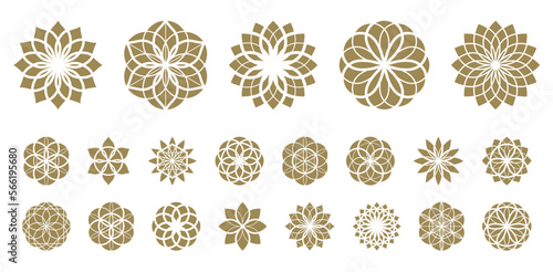 Flower of life vector ancient esoteric symbol big vector set.