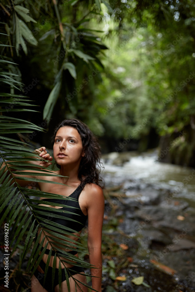 Portrait Young slender girl posing in the jungle hiding behind a palm leaf. Wildlife and a girl Portrait Young slender girl posing in the jungle hiding behind a palm leaf. Wildlife and a girl