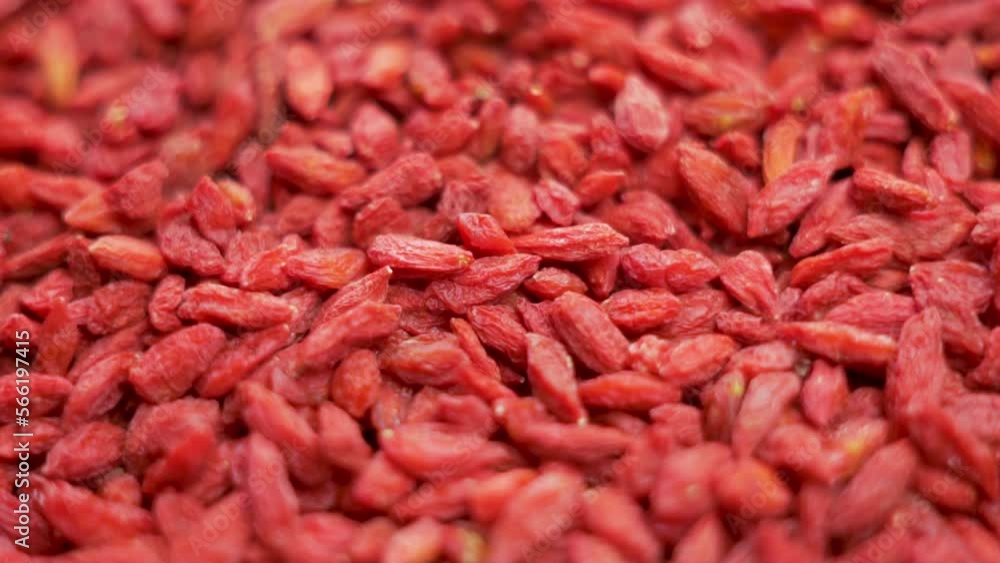 Dried Goji Berries Macro Rotation. Useful goji. Goji Isolated Background. Antioxidant, Detox, Healthy Vitamin Food.