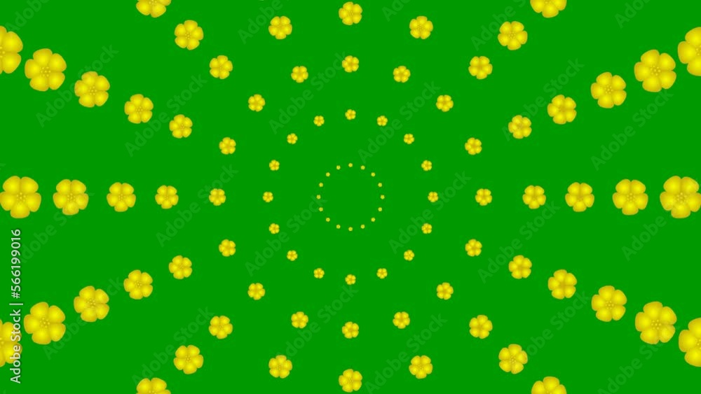 Animated increasing golden beautiful flower circles from the center. Background from cherry blossom. Looped video. Concept of spring. Vector illustration isolated on green background. Animated increasing golden beautiful flower circles from the center. Background from cherry blossom. Looped video. Concept of spring. Vector illustration isolated on green background.