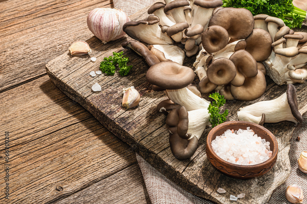 Oyster mushrooms ready for cooking. Fresh parsley, spices, garlic. Trendy hard light, dark shadows Oyster mushrooms ready for cooking. Fresh parsley, spices, garlic. Trendy hard light, dark shadows