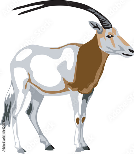 Scimitar oryx - vector illustration photo