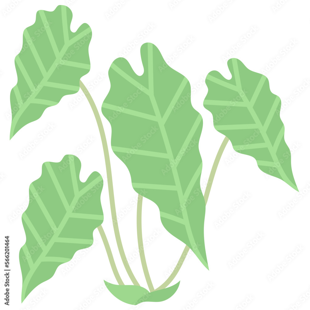 LEAF LEAF