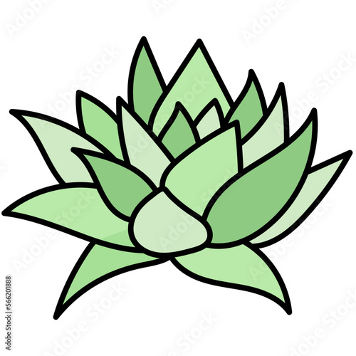 LEAF