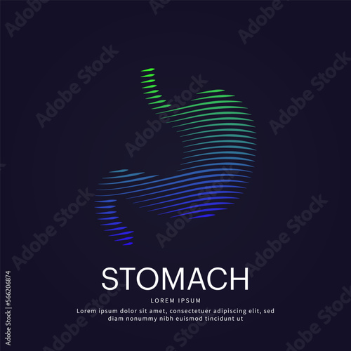 Human stomach medical structure. Vector logo stomach care color silhouette on a dark background. EPS 10