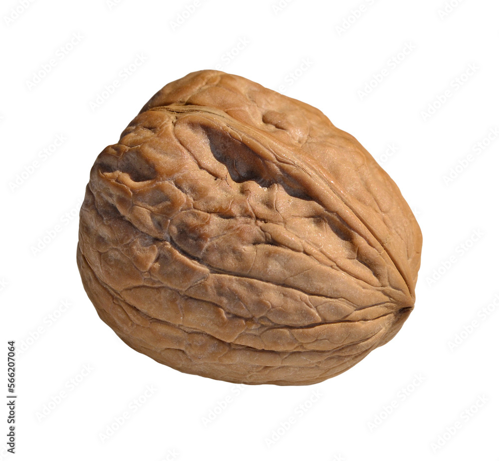 walnut shell isolated on layered png format background.