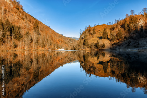 Mountain lake with water reflections at morning light. Salzburg country. © Olga