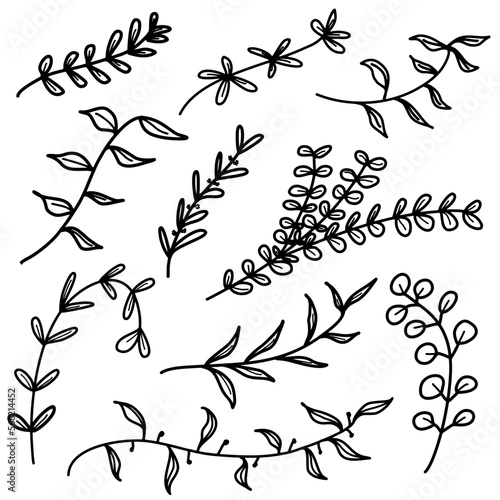 Set of hand drawn botanical floral decorative elements