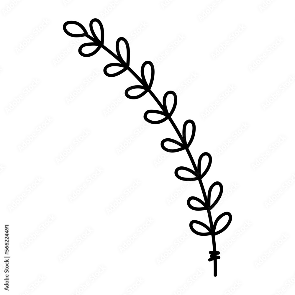 Floral Line Art Floral Line Art