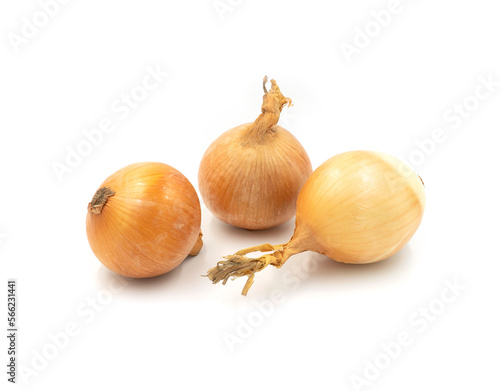 Wallpaper Mural onion isolated on white Torontodigital.ca