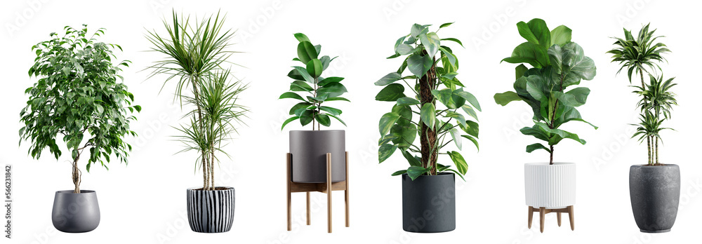 Collection of beautiful plants in ceramic pots isolated on transparent background. 3D render. - obrazy, fototapety, plakaty 