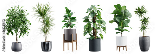 Collection of beautiful plants in ceramic pots isolated on transparent background. 3D render. photo