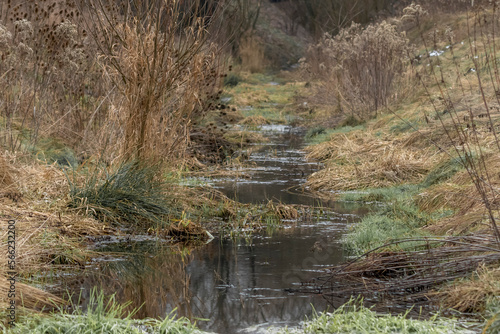 płytka rzeka rozlana woda trawy
