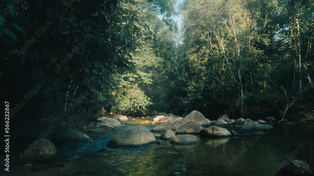 scene in the river