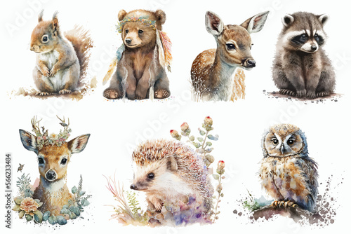 Safari Animal set deer, fox, raccoon, hedgehog, squirrel, bear in watercolor style. Isolated vector illustration