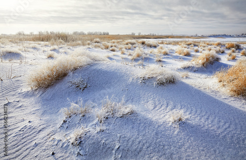 Snow falls in the desert dune