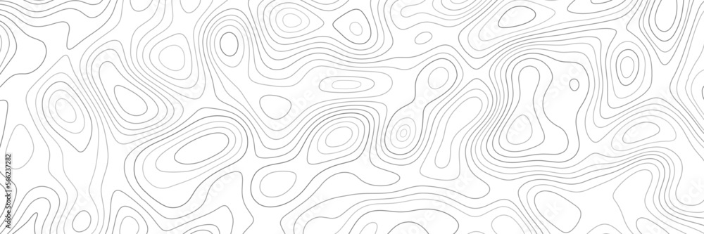 black and white abstract topographic line contour map background, geographic grid map - cartographic graphic concept. black and white abstract topographic line contour map background, geographic grid map - cartographic graphic concept.