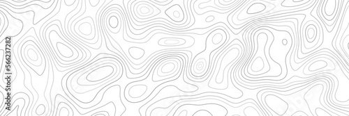 black and white abstract topographic line contour map background  geographic grid map - cartographic graphic concept.
