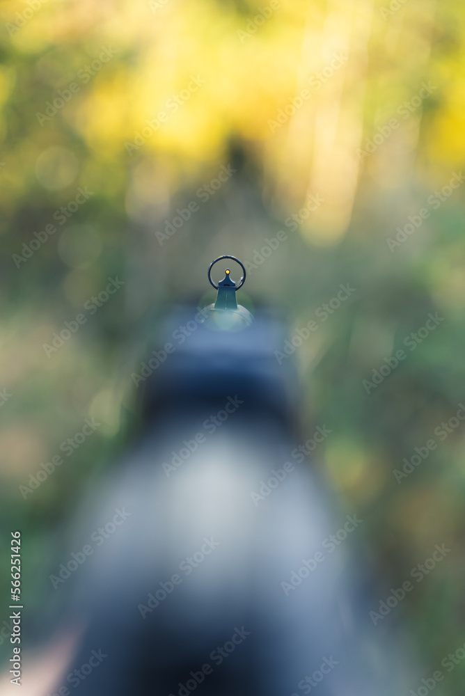 Training for proper and accurate shooting, point of view while aiming with the front and rear sights. High quality photo
