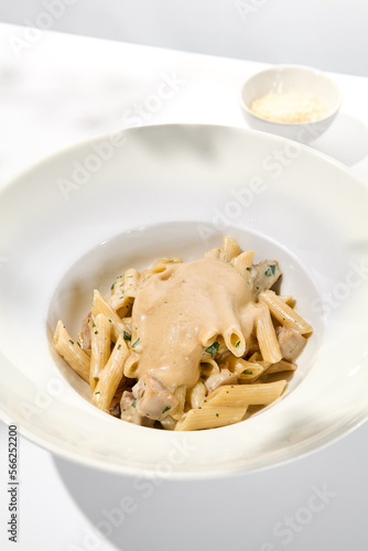 Italian pasta penne with chicken and mushrooms in creamy sauce. Mushroom and chicken pasta on white plate with shadows of sunlight. Summer italian lunch Penne with mushroom sauce on light background