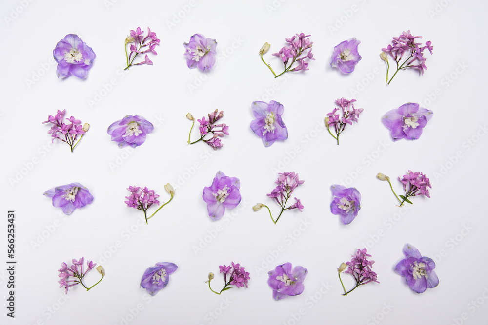 Beautiful spring flowers background. Spring time is comig Beautiful spring flowers background. Spring time is comig