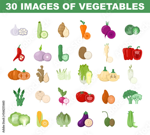 Vegetables colored images set. Bright detailed illustration of fresh