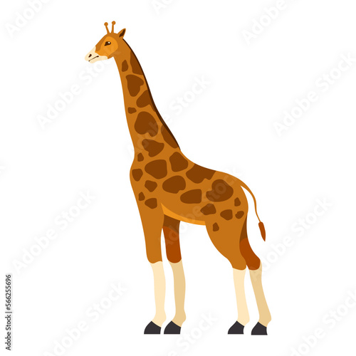 Vector wild african giraffe illustration.