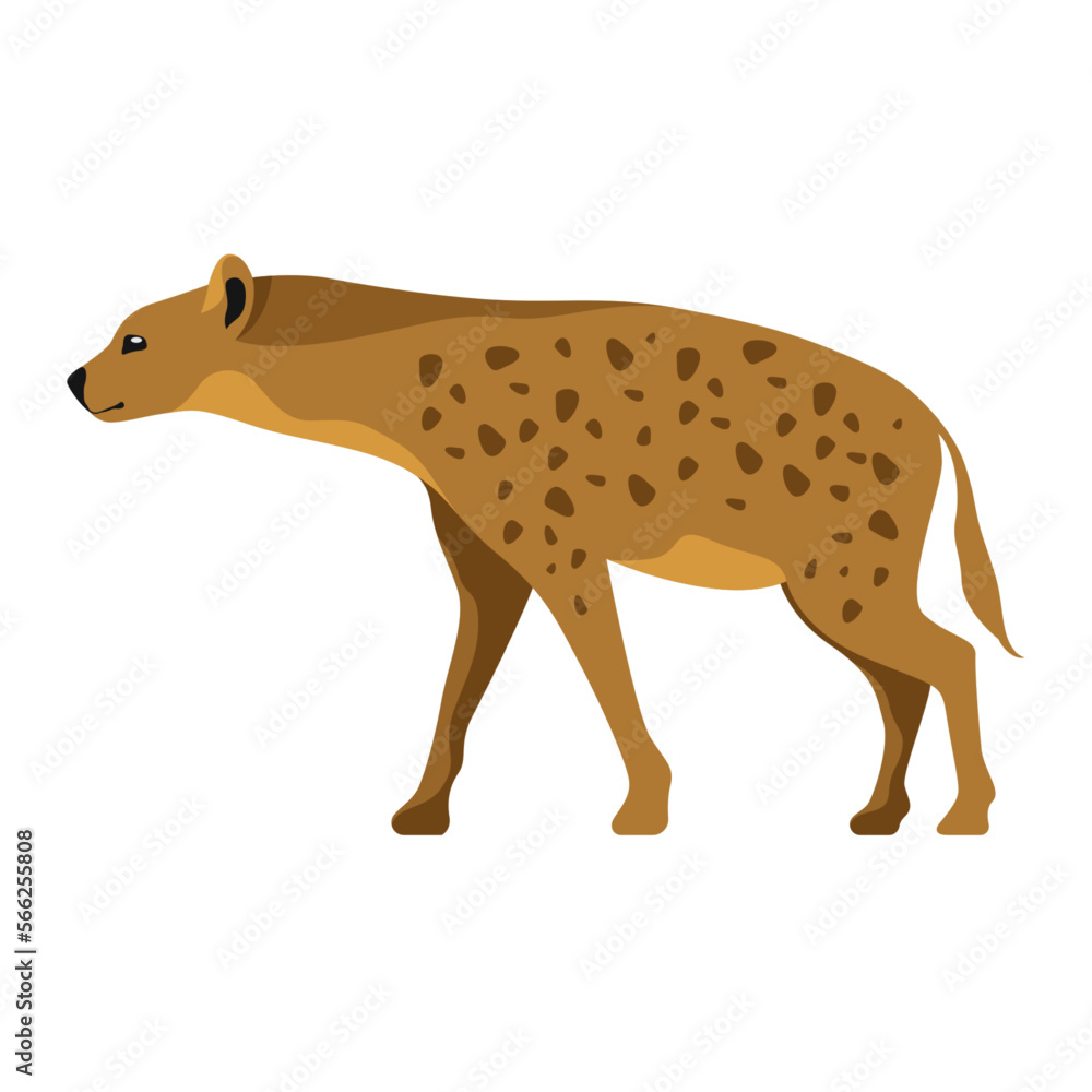 African hyena vector clipart. Hyaena image. African hyena vector clipart. Hyaena image.