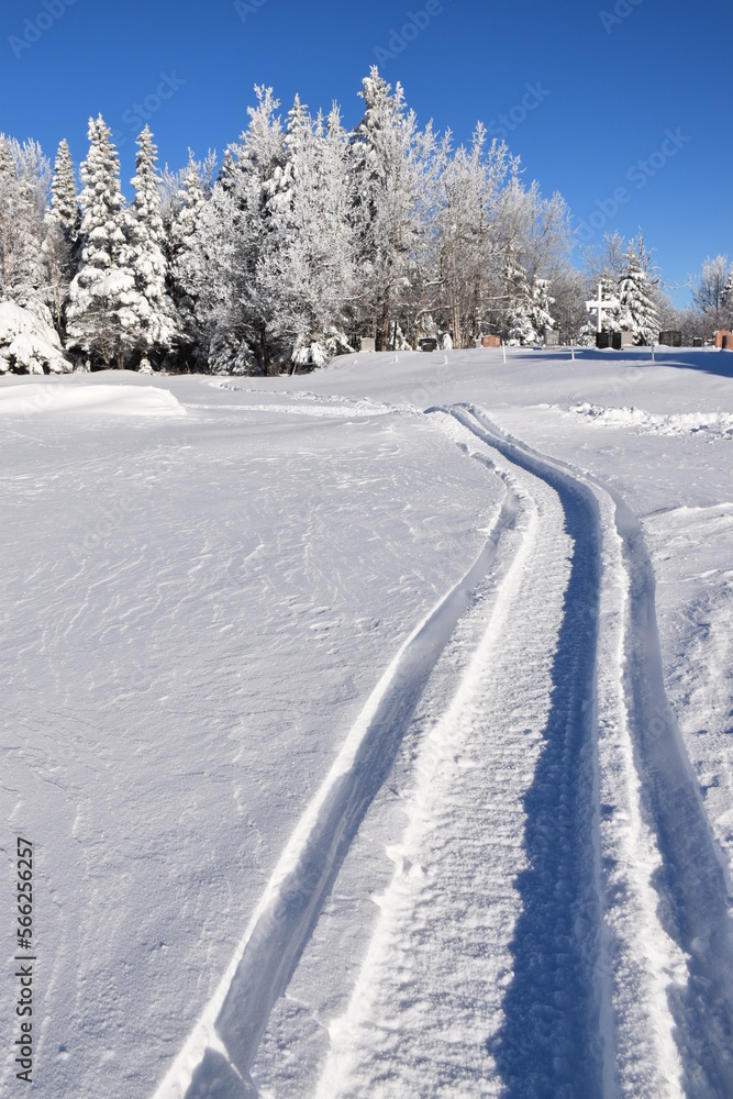 Obraz premium The recreation ground in winter, Sainte-Apolline, Québec, Canada