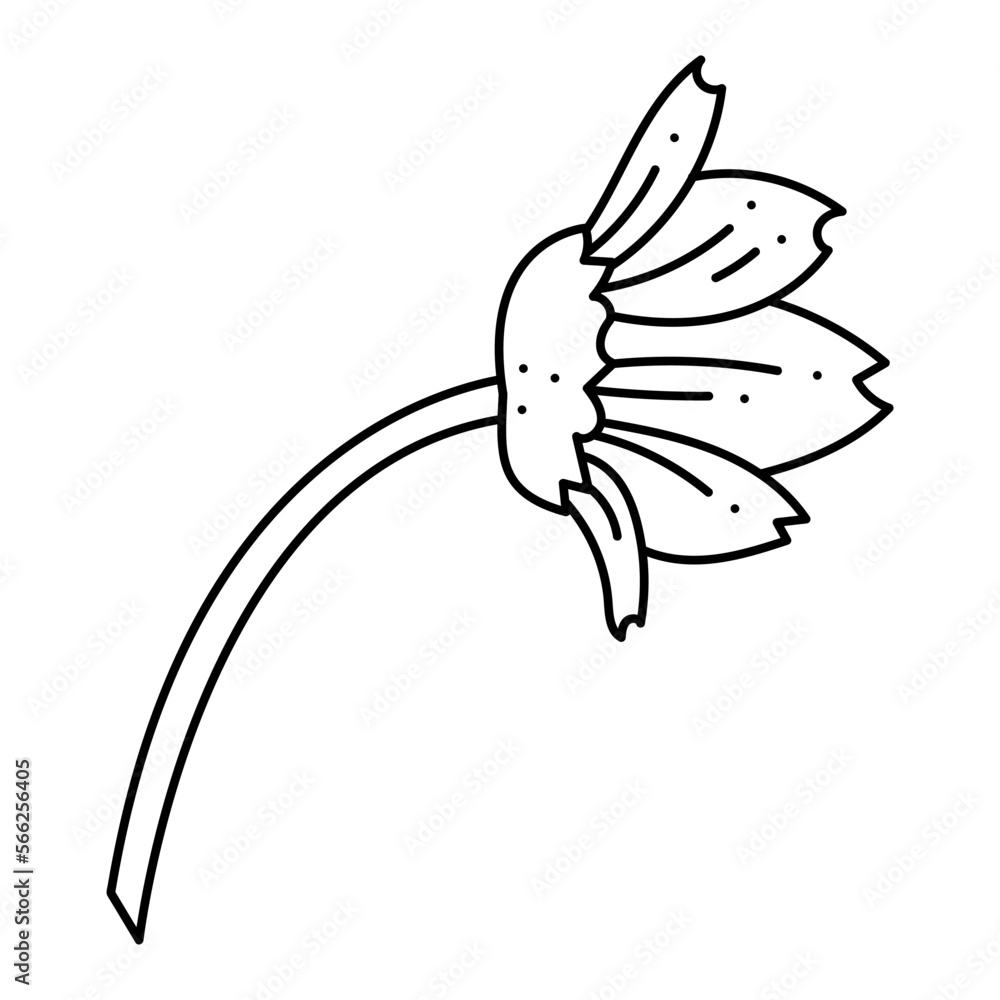 Fototapeta premium Anemone oak flower doodle. Hand drawn outline vector illustration.