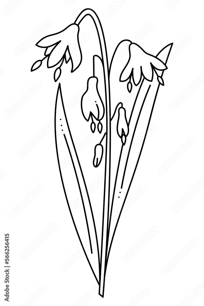 Naklejka premium Scylla doodle. Hand drawn outline vector illustration.