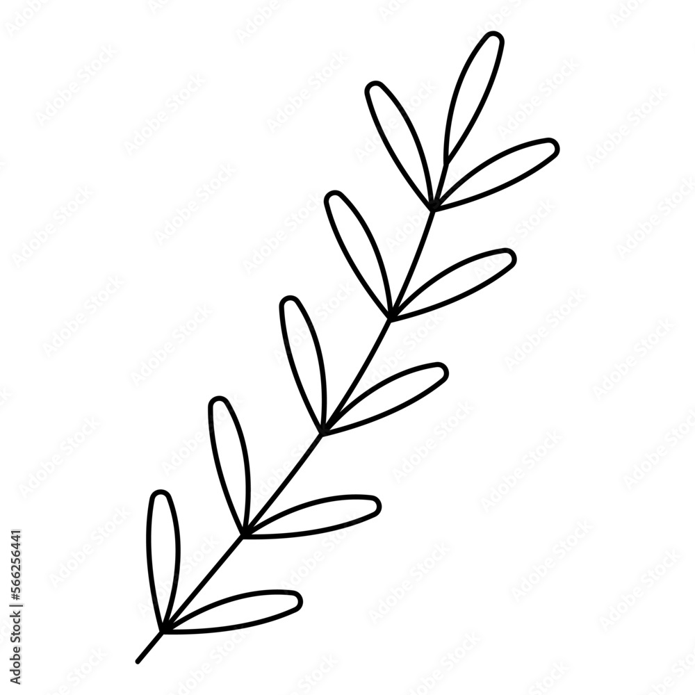 Fototapeta premium Branch doodle abstract with leaves. Hand drawn outline vector illustration.