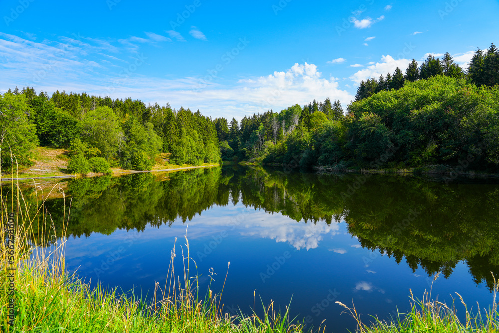 Landscape At The Unterer Eschenbacher Teich Nature At The Lake Near 
