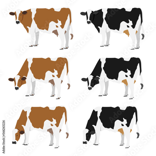 Cow Vector Asset