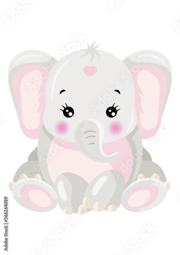 Little baby girl elephant isolated