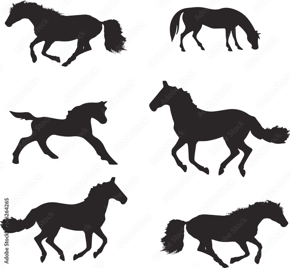 Beautiful horse silhouette vector art design.

