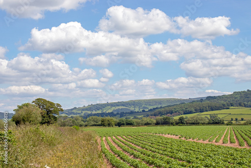 Looking into the Black Mountains.