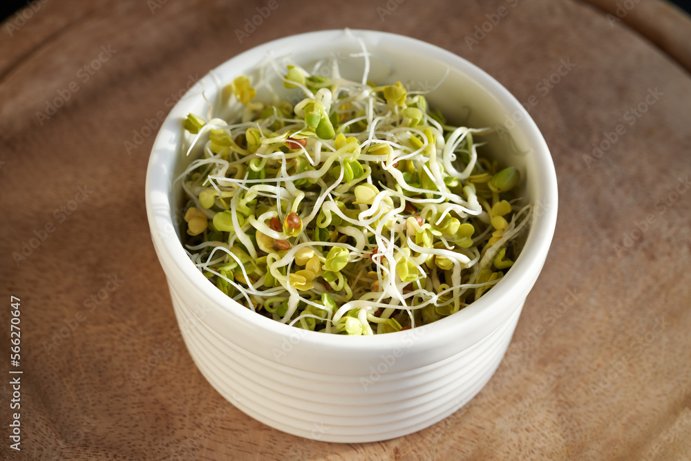 Fresh radish sprouts in a bowl on a wooden table