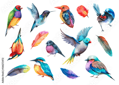 Watercolor collection of birds. Various colorful birds on a white background
