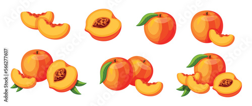 Set of fresh juicy peaches in cartoon style. Vector illustration of tasty fruits whole and cut, large and small sizes with green leaves isolated on white background.