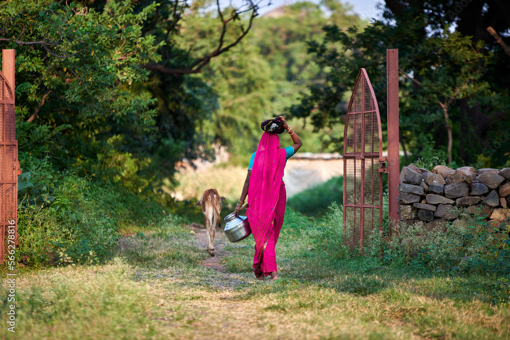 A woman wearing pink sari carries pots of food on her head walks with a young cow through a green village