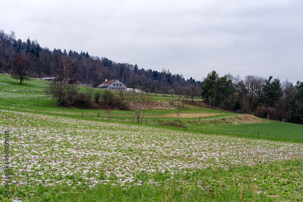 Fototapeta premium Farm with meadow, agriculture field and orchard on a gray cloudy winter day at City of Zürich district Schwamendingen. Photo taken January 29th, 2023, Zurich, Switzerland.