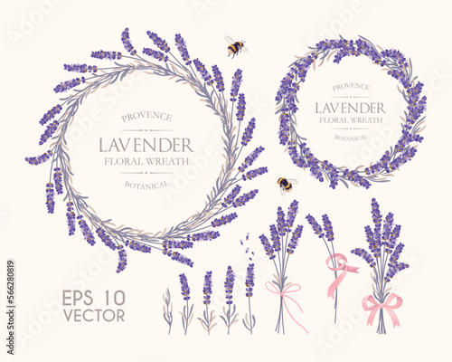 Big set of lavender flowers and wreaths photo