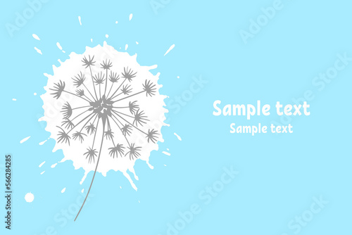 Silhouette of a white blooming dandelion on a blue background with space for text