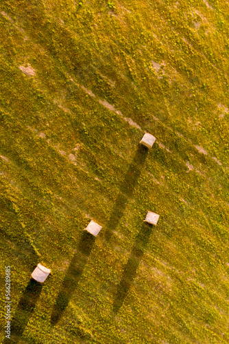 Sunny evening field