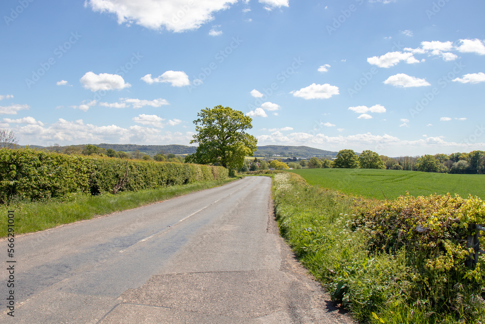 Summertime along the roadside. Summertime along the roadside.