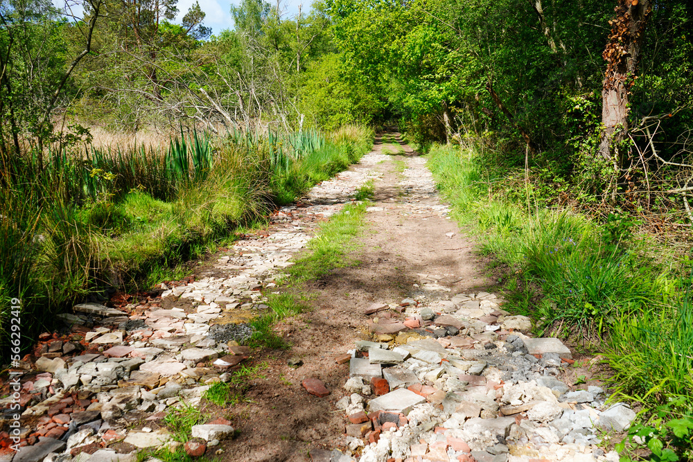 Old single track road make of broken bricks and soil Old single track road make of broken bricks and soil