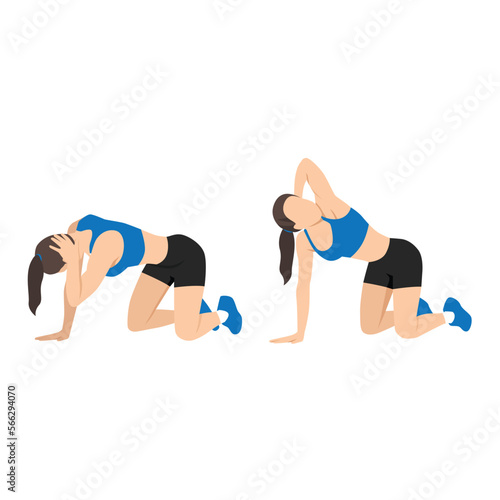 Woman doing exercise in thoracic rotation pose or quadruped rotation. Flat vector illustration isolated on white background photo