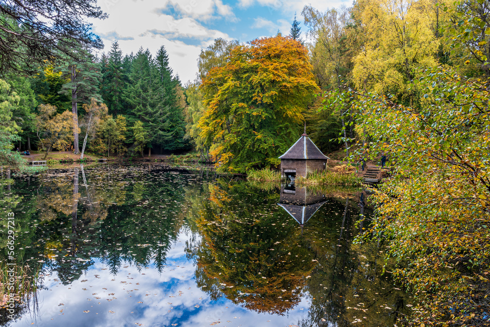 Loch Dunmore, Faskally Wood, Pitlochry, Perthshire